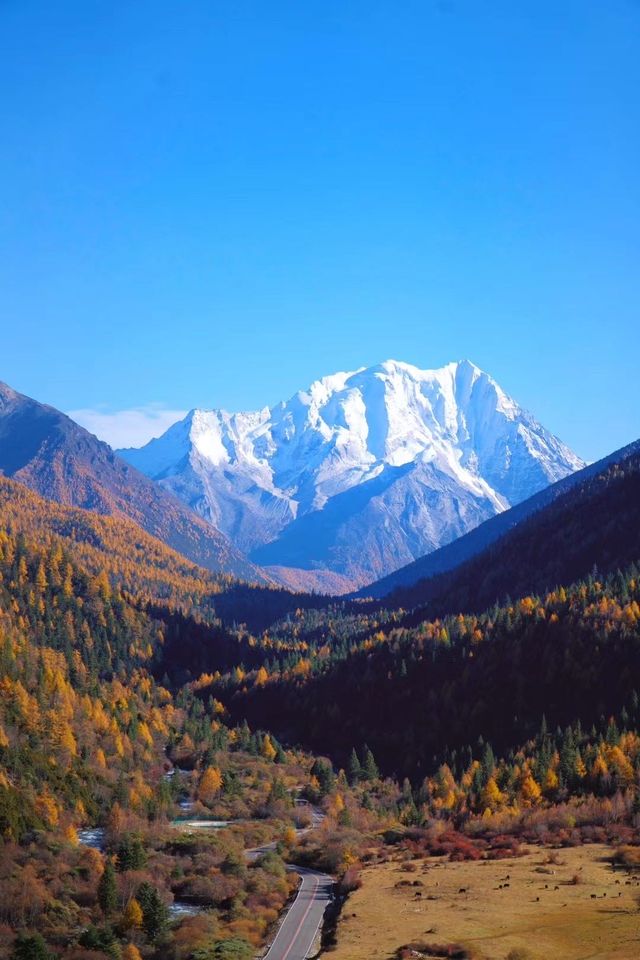 川西自駕｜沒有誰能在這個季節裡打敗新都橋