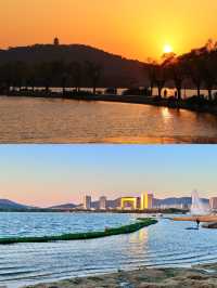 無錫免費躺平寶地！蠡湖渤公島逛吃一整天，紅嘴鷗+湖景絕了