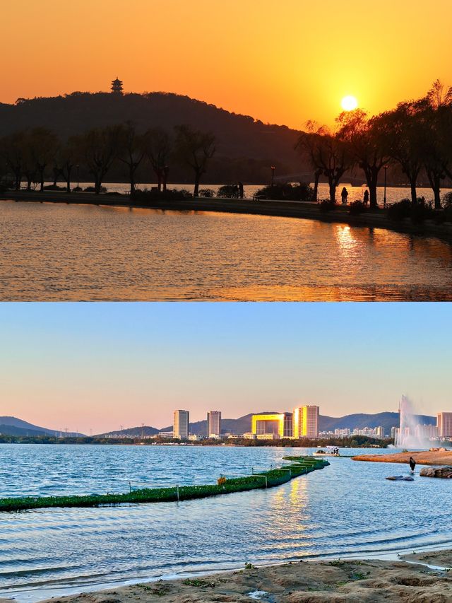 無錫免費躺平寶地！蠡湖渤公島逛吃一整天，紅嘴鷗+湖景絕了