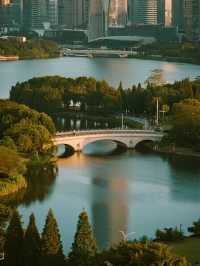 深圳中心公園親子遊地鐵直達！能待一天的寶藏地