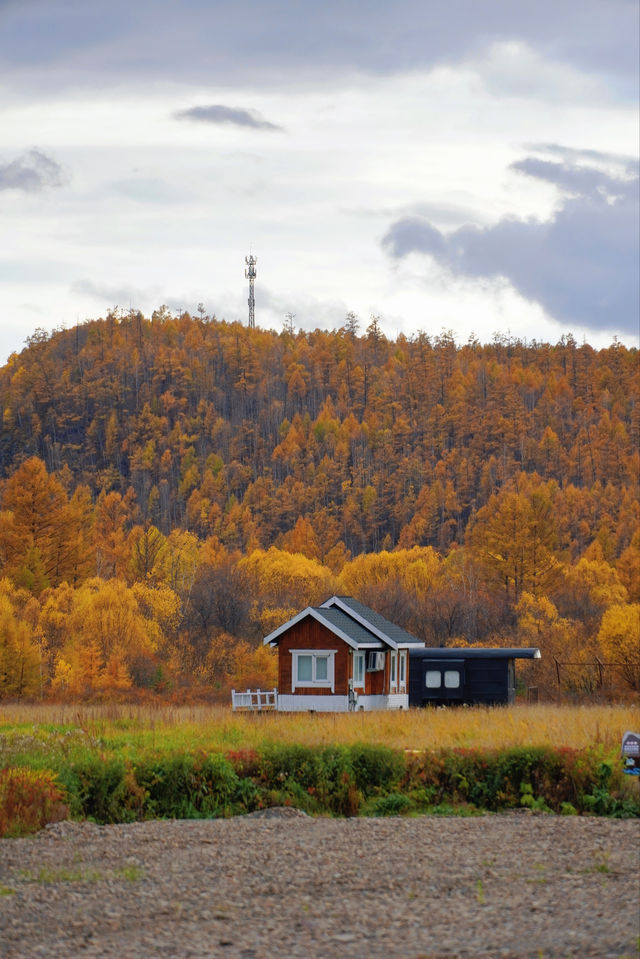 原來中國最冷的地方，竟然不是漠河
