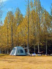 鄭州親子遊天花板!蝶湖公園秋日童話攻略