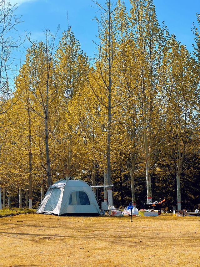 鄭州親子遊天花板!蝶湖公園秋日童話攻略 鄭州親子遊天花板!蝶湖公園秋日童話攻略