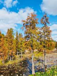 青島-威海-煙台長者旅行必看攻略