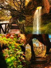 成都周邊賞秋封神地