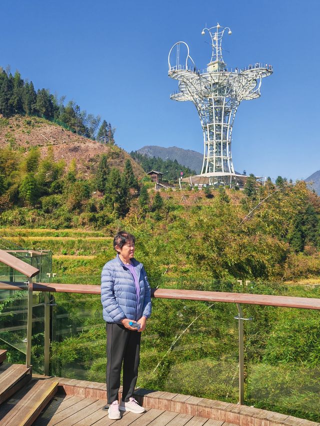 雲和梯田 雲和梯田