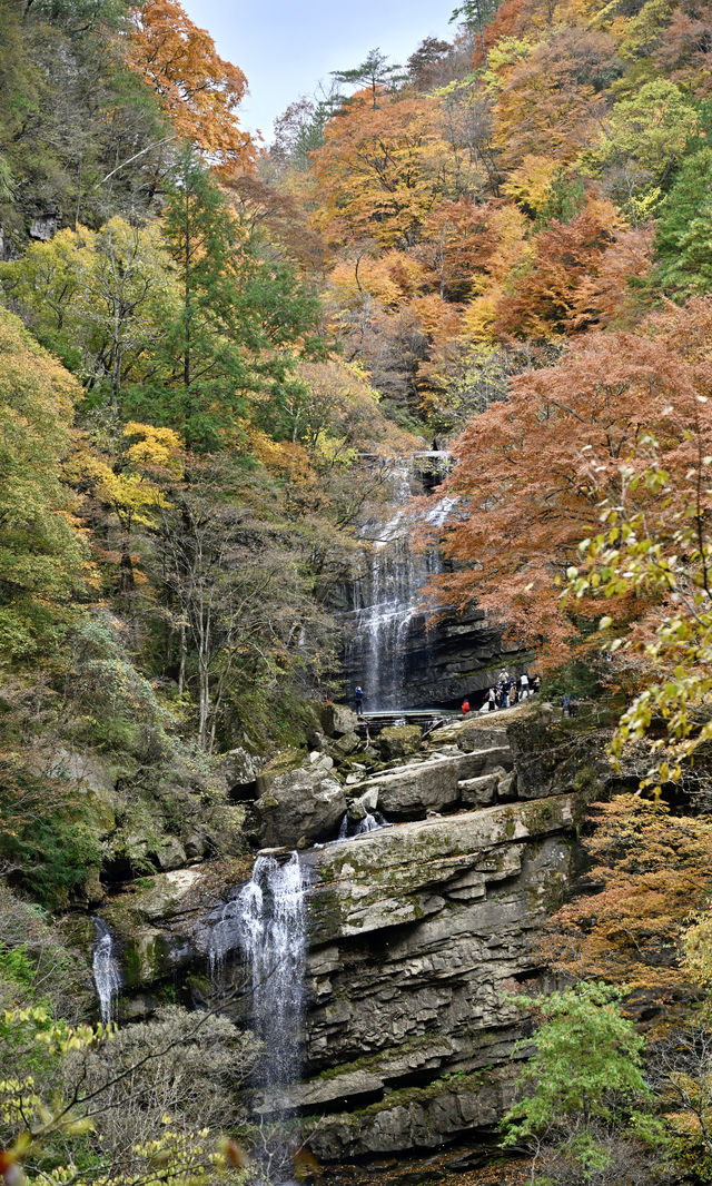陝西秋日封神之境！黎坪紅葉美到失語