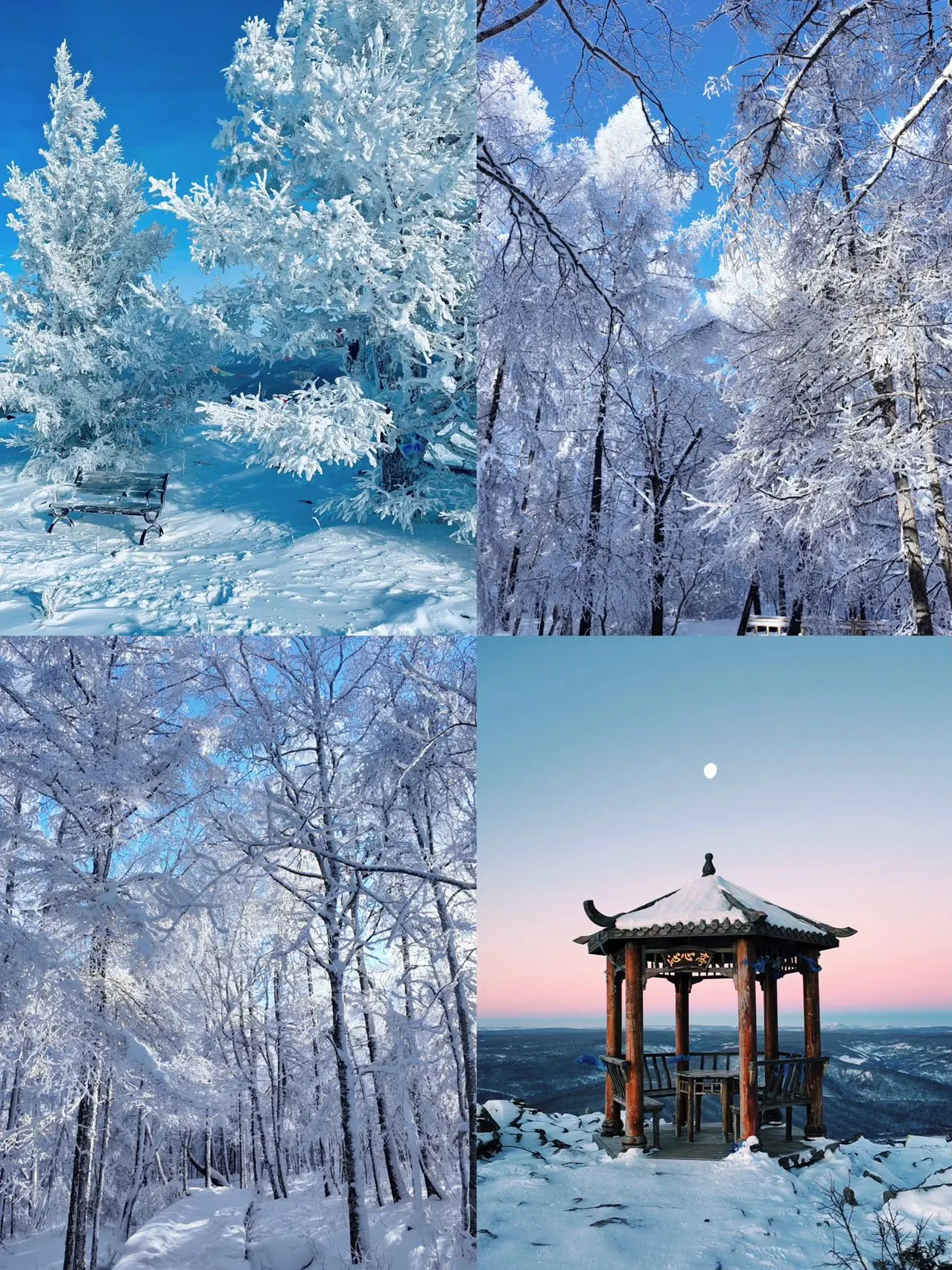 A Winter Date with Arxan: Bringing Fairy Tales to Life in 3 Days and 2 Nights