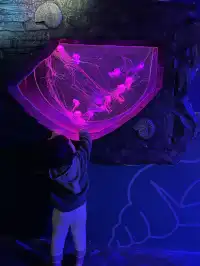 天津海洋極地公園｜必看四大海洋秀