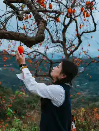 永嘉東爐村|秋日限定的「柿」外桃源