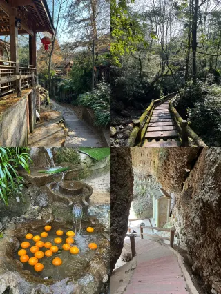 成都周邊｜被陽光灑滿的青城後山好治癒