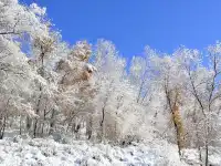 18張圖記錄我的賽里木湖庫爾德寧冰雪之旅