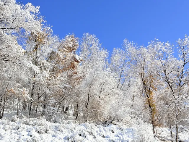 18張圖記錄我的賽里木湖庫爾德寧冰雪之旅 18張圖記錄我的賽里木湖庫爾德寧冰雪之旅