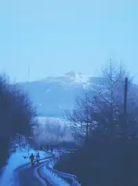 不想上班的小張今天去樺皮嶺