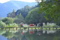 免費逛浙江第二至第七站