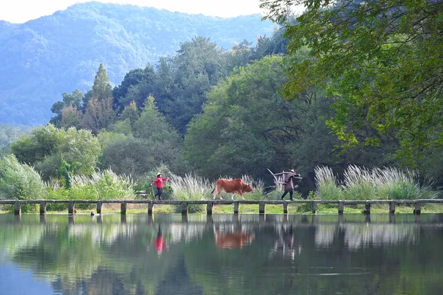 免費逛浙江第二至第七站