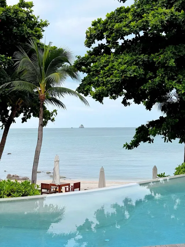 春節免簽衝蘇梅六善,小朋友嗨到不想回家 春節免簽衝蘇梅六善,小朋友嗨到不想回家