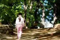 劍川桑嶺村|百年古木林美成了打翻的調色盤