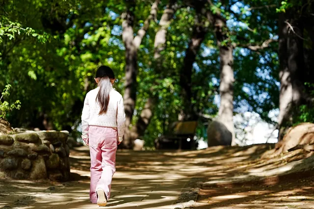 劍川桑嶺村|百年古木林美成了打翻的調色盤 劍川桑嶺村|百年古木林美成了打翻的調色盤