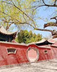 蘭州自駕遊去武威四日遊攻略