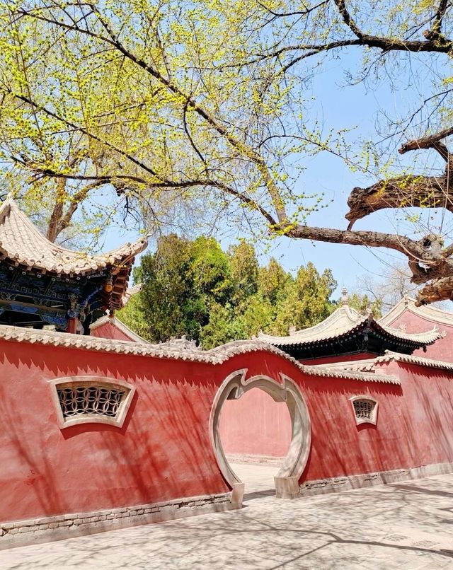 蘭州自駕遊去武威四日遊攻略