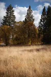 “南加無秋？”我不這麼認為喔