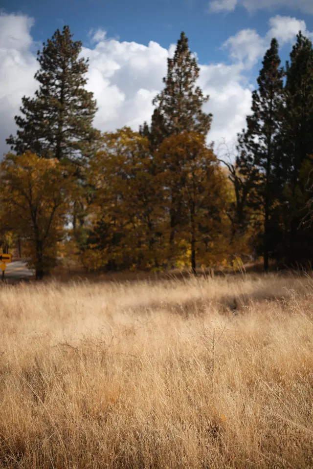 “南加無秋？”我不這麼認為喔