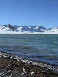 西藏/女大3500七天六晚最全攻略