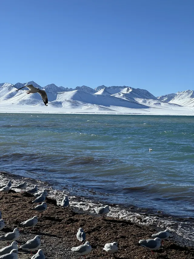 西藏/女大3500七天六晚最全攻略