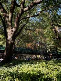 都市中的秋日詩篇