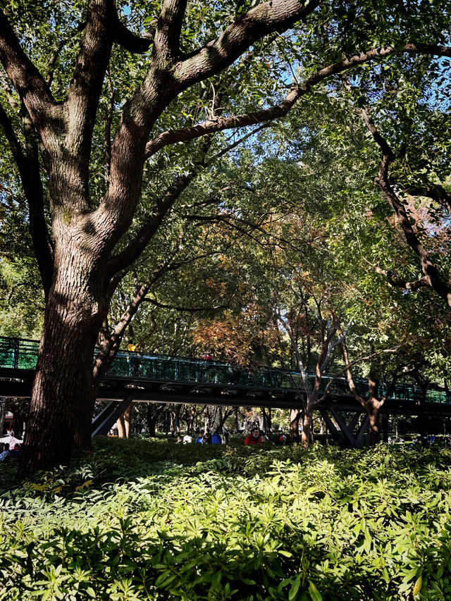 都市中的秋日詩篇 都市中的秋日詩篇