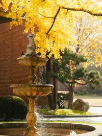 清晨8點,我拍到了樹的呼吸聲!