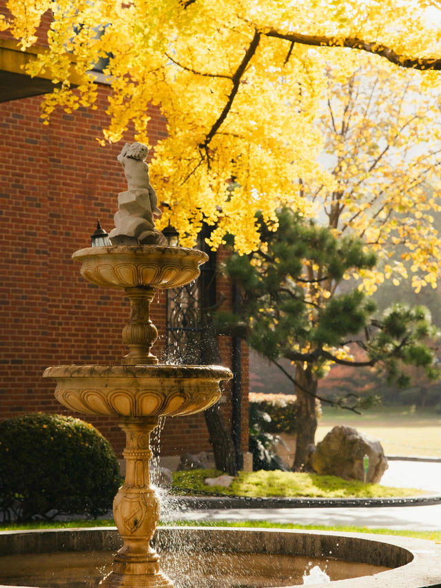 清晨8點,我拍到了樹的呼吸聲! 清晨8點,我拍到了樹的呼吸聲!