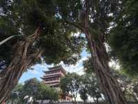 趕一場山水之約，廣西等你來野～