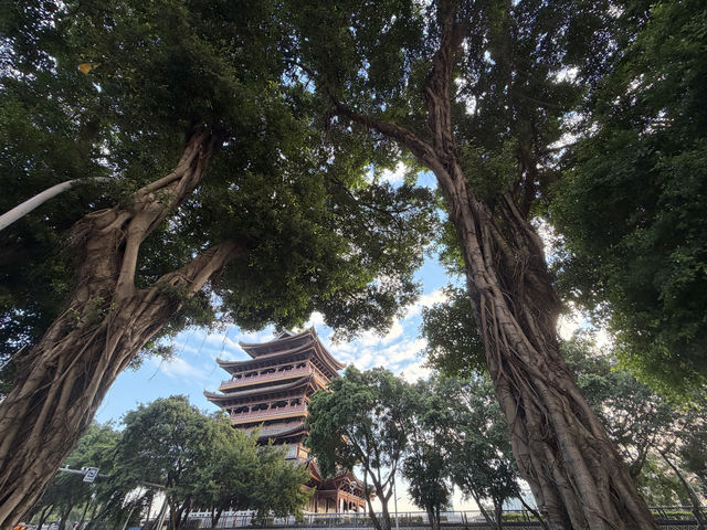 趕一場山水之約，廣西等你來野～