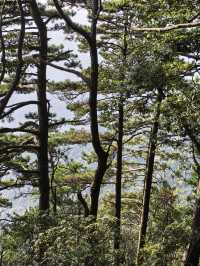 竹林寺∽廬山“空中佛國”！