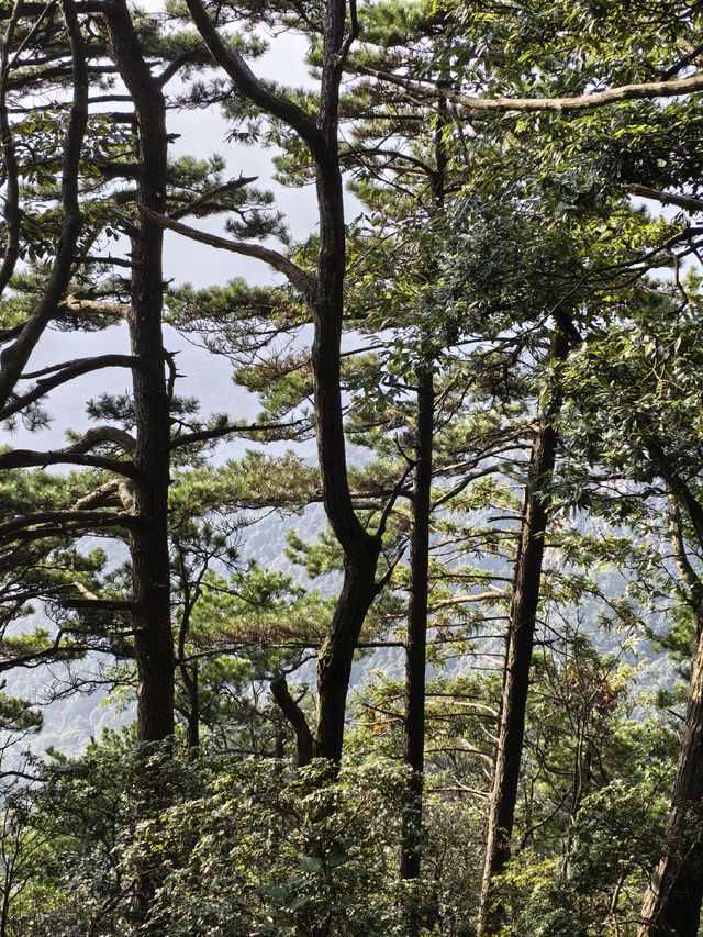 竹林寺∽廬山“空中佛國”！