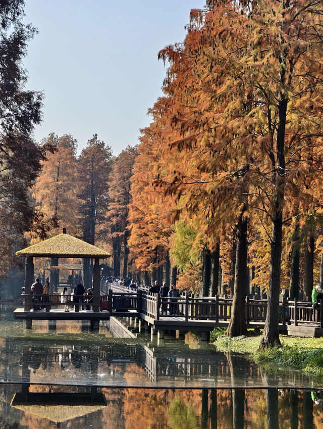 歡迎來旅遊打卡 歡迎來旅遊打卡