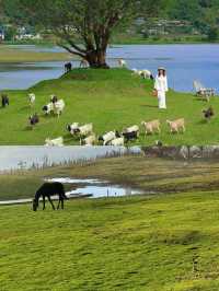 鬆弛感拉滿的度假雪山酒店