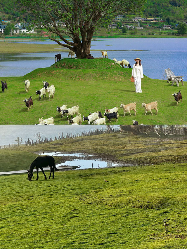 鬆弛感拉滿的度假雪山酒店 鬆弛感拉滿的度假雪山酒店