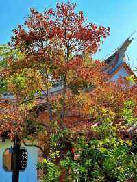 泉州西湖公園|秋日限定版桃花島太絕美了