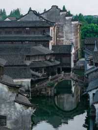 “我本無意入江南,奈何江南入我心”