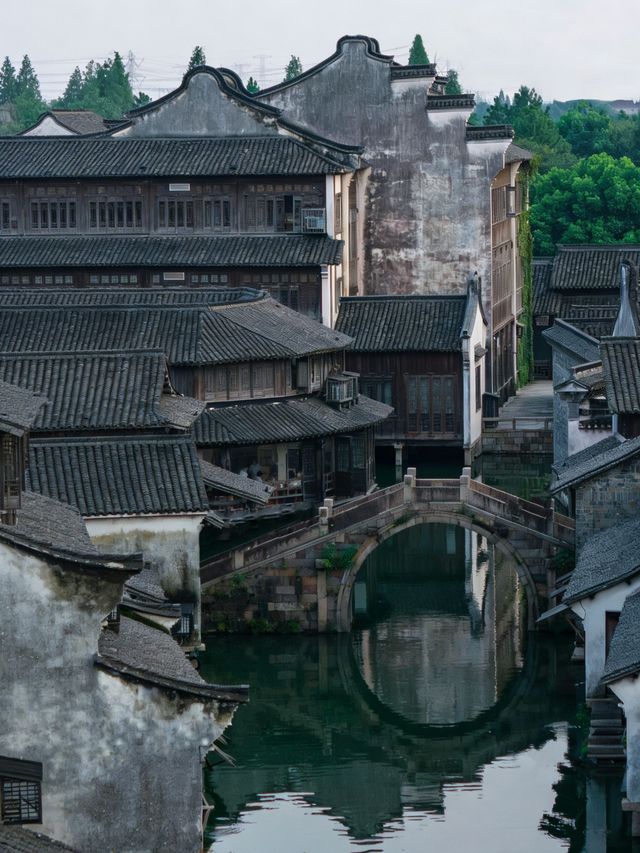 “我本無意入江南,奈何江南入我心” “我本無意入江南,奈何江南入我心”