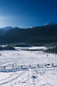 喀納斯冬日夢境|12月闖入冰封童話秘境