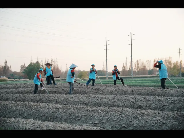 上海殺瘋了! 上海殺瘋了!