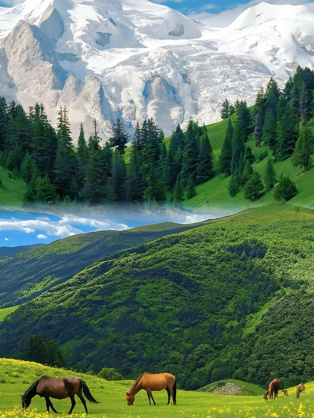 川西花海雪山秘境 川西花海雪山秘境