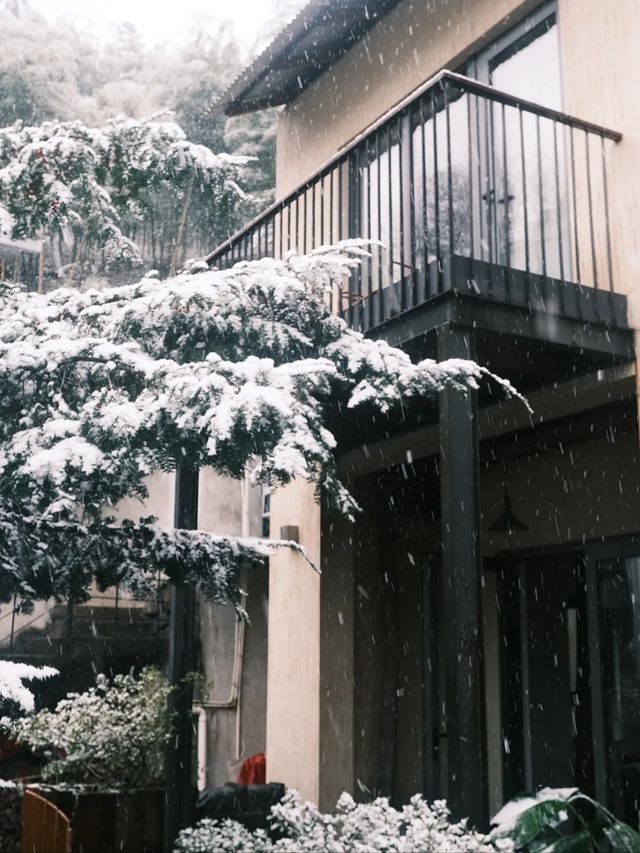 莫干山的初雪，你就是故事裡的主角