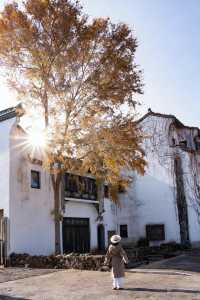 秋天的千島湖到底有多美答案都藏在這裡啦