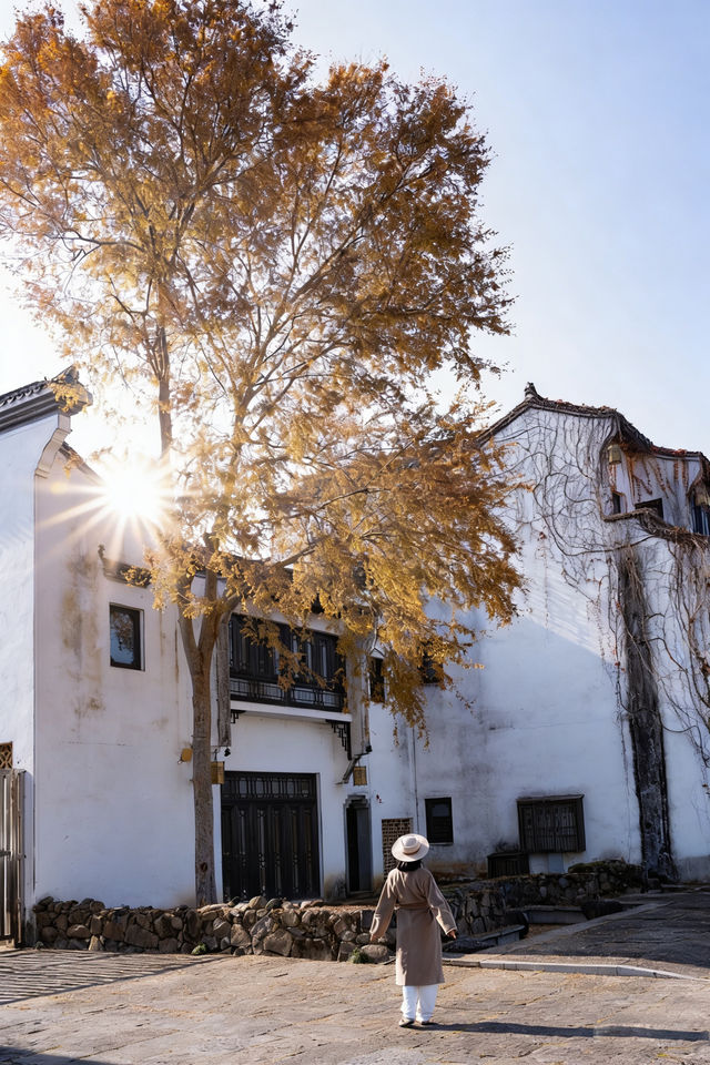 秋天的千島湖到底有多美答案都藏在這裡啦 秋天的千島湖到底有多美答案都藏在這裡啦