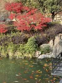 安吉Staycation冬季的聖誕氛圍也太棒啦